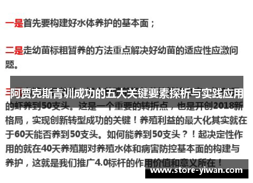 阿贾克斯青训成功的五大关键要素探析与实践应用 阿贾克斯青训成功的五大关键要素探析与实践应用