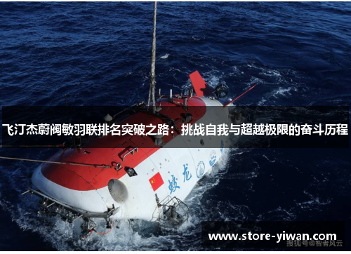飞汀杰蔚阀敏羽联排名突破之路：挑战自我与超越极限的奋斗历程
